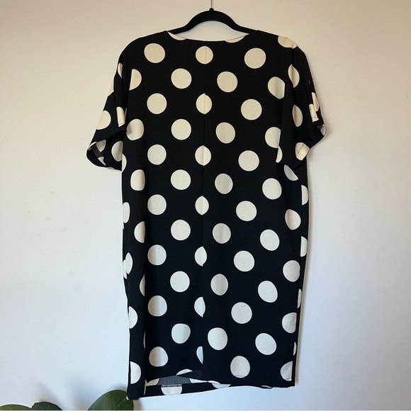 NWT Francesca’s dress pok a dot women’s Large - Picture 5 of 7